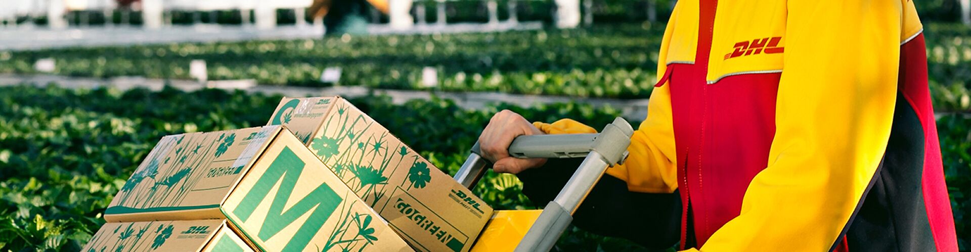 Paketzusteller von DHL liefert mit klimaneutralem GoGreen versand