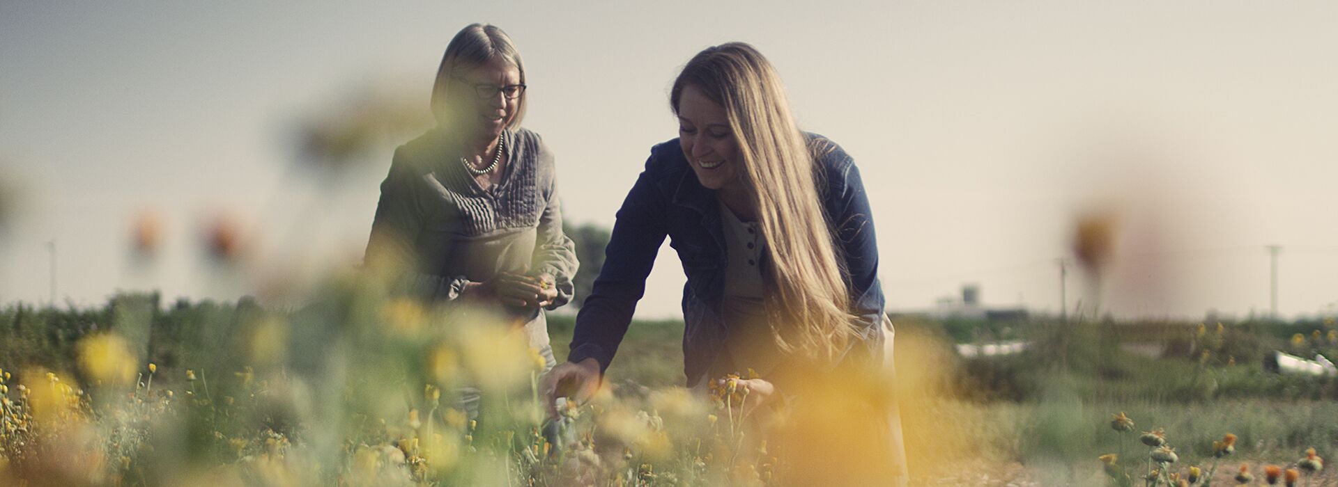 Mutter und Tochter im Calendula Feld